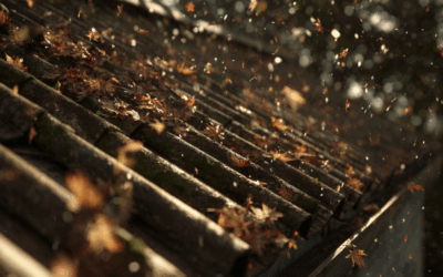 Should You Remove Leaves from Your Roof in Fall?